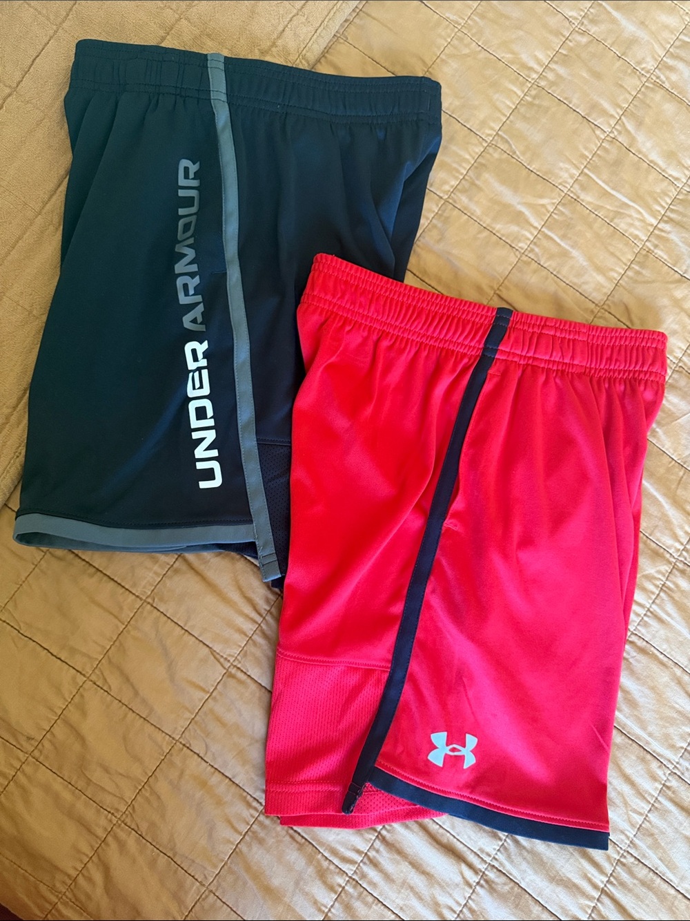 UA Boy Shorts Bundle NWOT